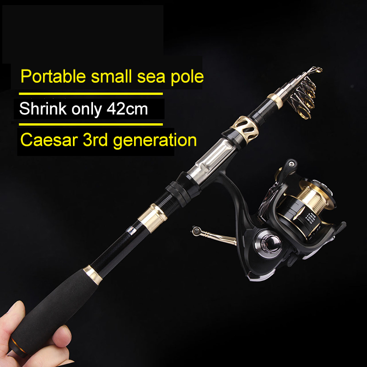 Ultra Light Carp 2.1M 2.4M Sea - огляд і ціна Fishing Rod Combo